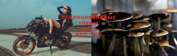 эйфоретик Алексеевка