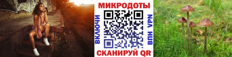 дарк нет какой сайт Качканар Псилоцибиновые грибы прущие грибы
