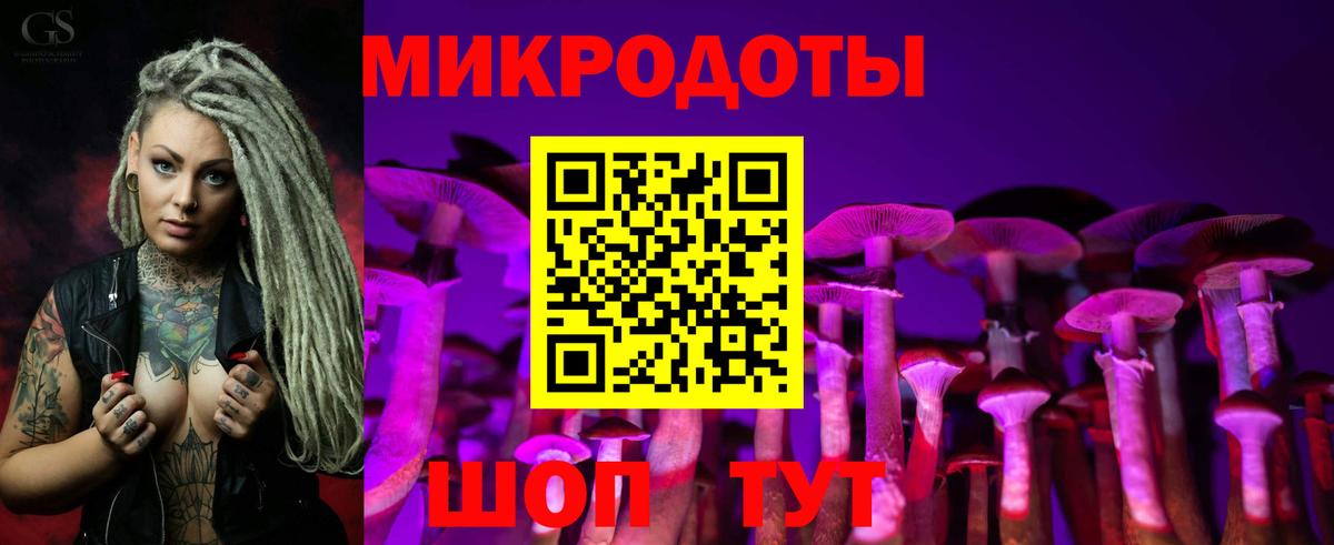 Качканар  Псилоцибиновые грибы Psilocybine cubensis  Галлюциногенные грибы Psilocybe  Вход с VPN 