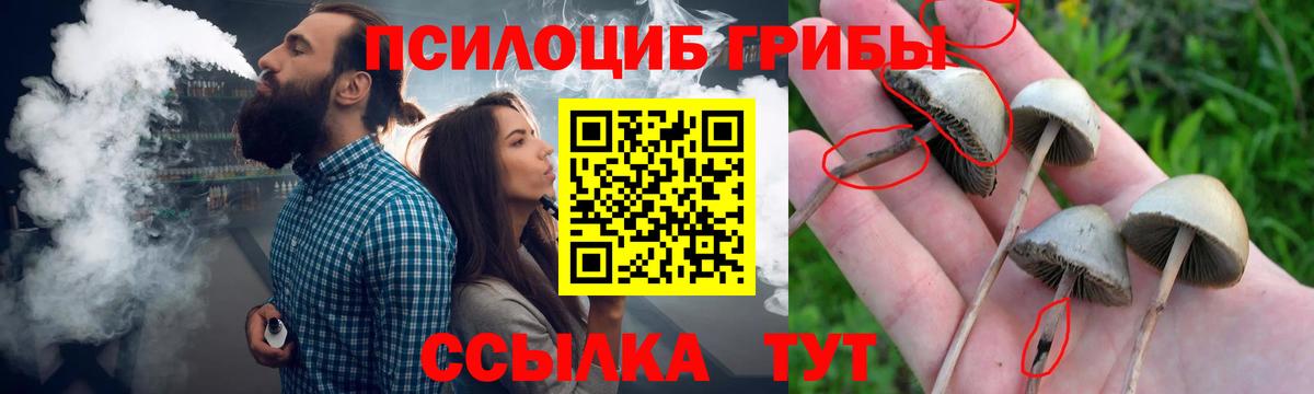Галлюциногенные грибы Psilocybine cubensis Качканар